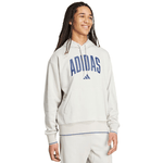 Adidas Collegiate Hoodie M KC3872 sweatshirt - IFY Sports