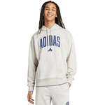 Adidas Collegiate Hoodie M KC3872 sweatshirt - IFY Sports