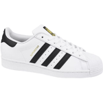 Adidas Superstar M EG4958 shoes - IFY Sports